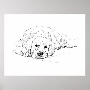 Perro Retriever Dorado Durmiendo, Impresión de Art