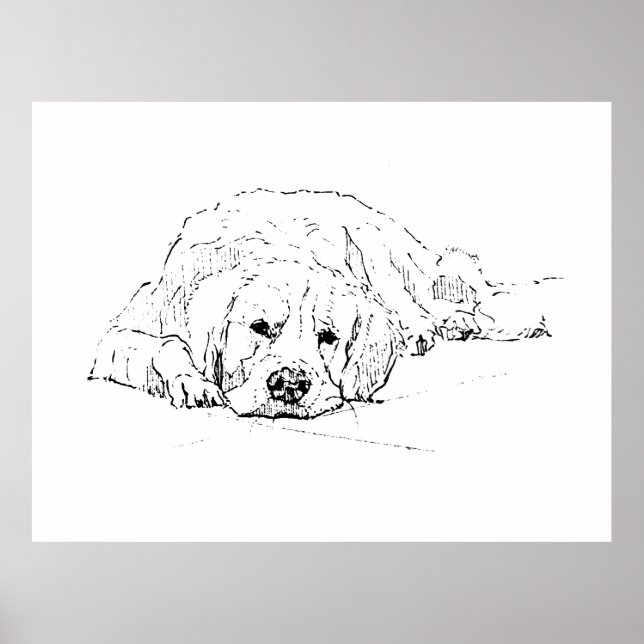 Perro Retriever Dorado Durmiendo, Impresión de Art (Frente)