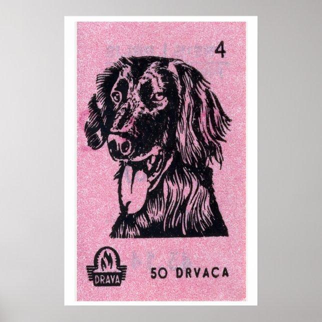 Perro rosa - Impresión de caja de cerillas - Arte  (Frente)