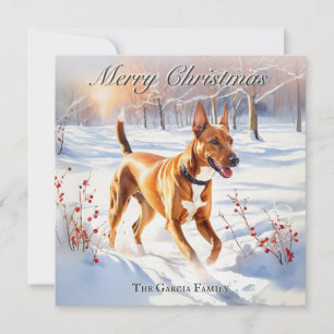 Perro Sabueso Faraónico en Navidad Nieve Invernal