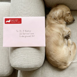 Perro Salchicha Dachshund | Etiqueta de dirección 