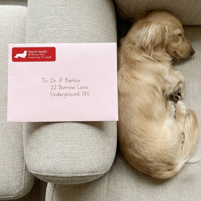 Perro Salchicha Dachshund | Etiqueta de dirección  (Dachshund Wiener Dog | Red Return Address Label)
