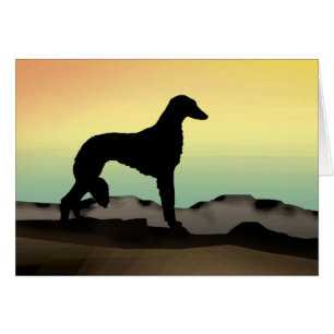 Perro Saluki del desierto