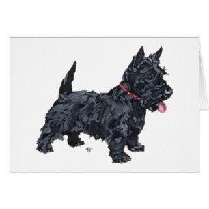 Perro Scottie descarado