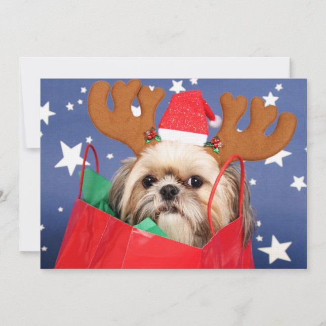 Perro Shih Tzu en una bolsa de compras roja (Anverso)