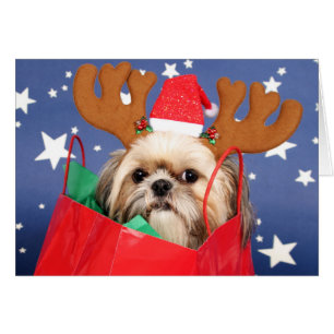 Perro Shih Tzu en una bolsa de compras roja
