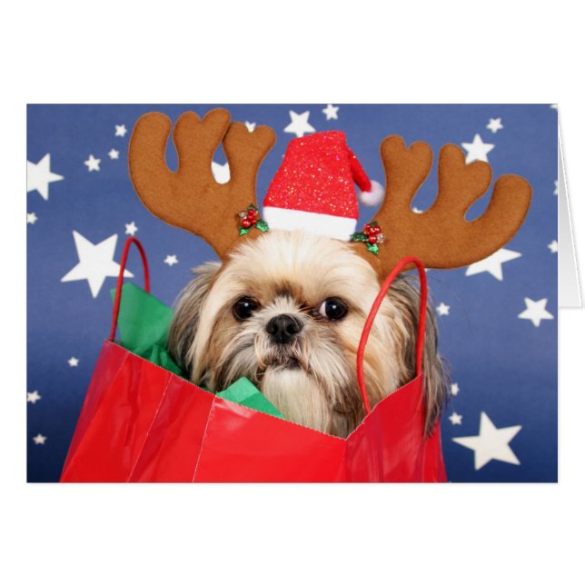 Perro Shih Tzu en una bolsa de compras roja (Anverso (Horizontal))