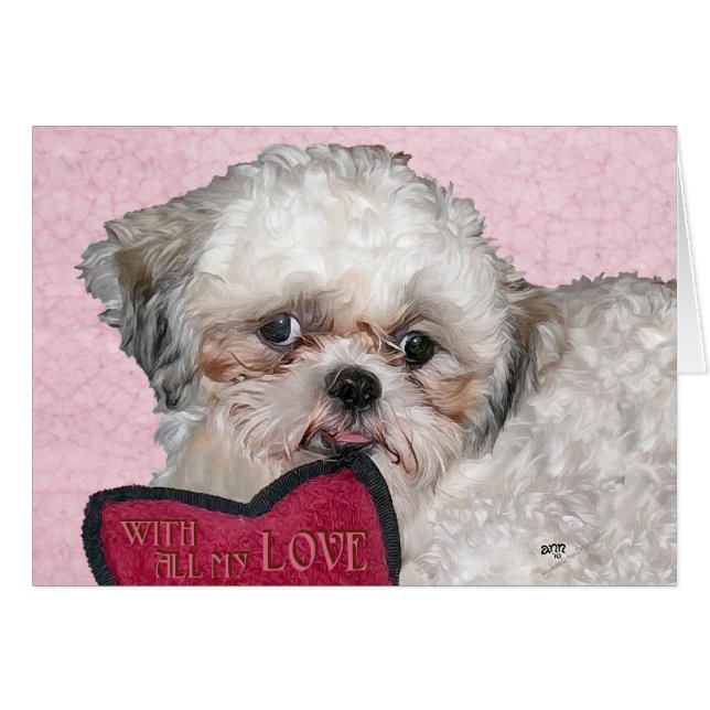 Perro Shih Tzu Te Ama (Anverso (Horizontal))