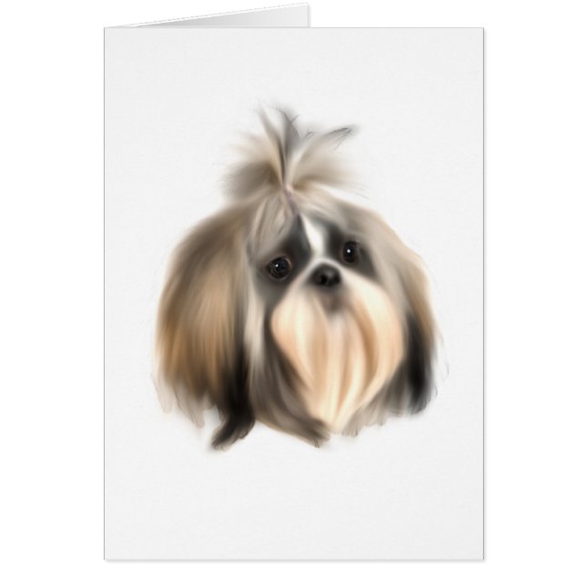 Perro ShihTzu (Frente)