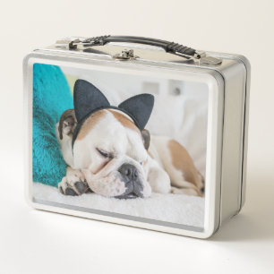 Perro soñoliento de las imágenes el   de Getty c