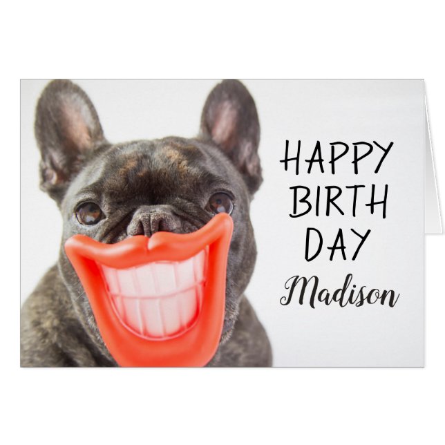 Perro sonriente de las imágenes el | A de Getty (Anverso (Horizontal))