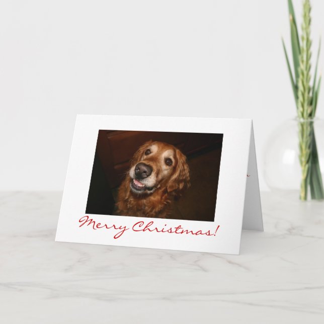 Perro sonriente Feliz Navidad (Anverso)