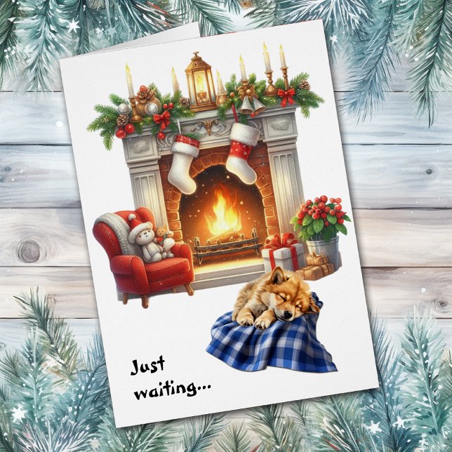 Perro Spitz Finlandés Esperando la Navidad (Subido por el creador)