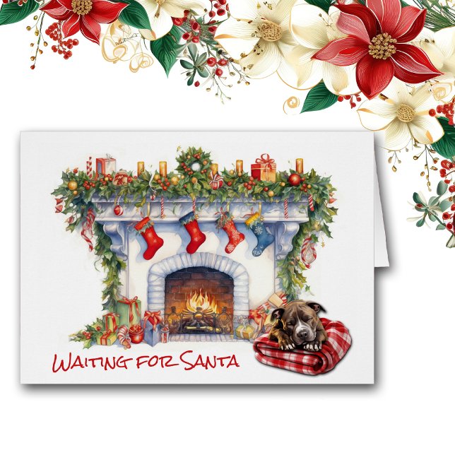 Perro Terrier de Staffordshire espera a Santa (Subido por el creador)