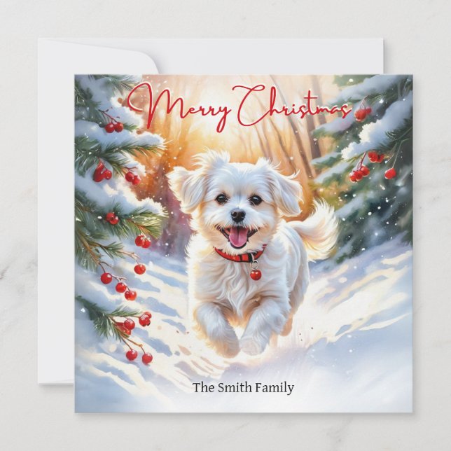 Perro Terrier Maltés en Navidad Invierno Feliz Nav (Anverso)