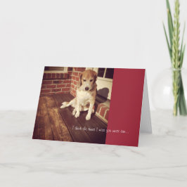 Perro triste que te falta la tarjeta
