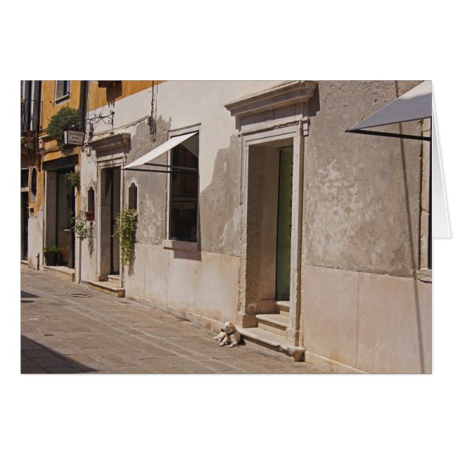 Perro veneciano (Anverso (Horizontal))