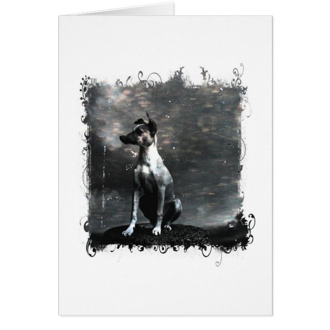 Perro Vintage Todas Las Ocasiones (Frente)