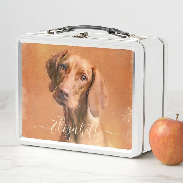 Perro Vizsla húngaro (In situ)