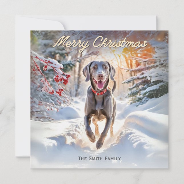 Perro Weimaraner en la nieve Feliz Navidad (Anverso)