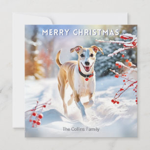 Perro Whippet Caminando En Nieve Navidad Feliz Nav