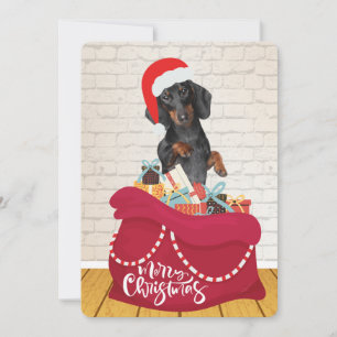 Perro Wiener Sombrero Santa Bolsa Regalos Navidad 