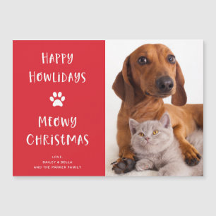 Perro y gato divertidos con foto Festividades de