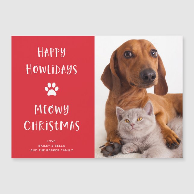 Perro y gato divertidos con foto | Festividades de (Anverso)