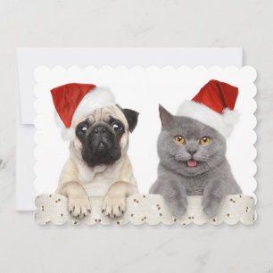 Perro y gato en gorra rojo del navidad