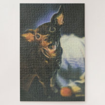 Perro y su rompecabezas de juguete