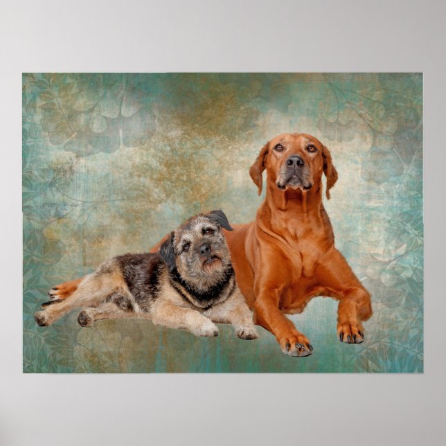 Perros Adorables En Arte Decopage (Frente)