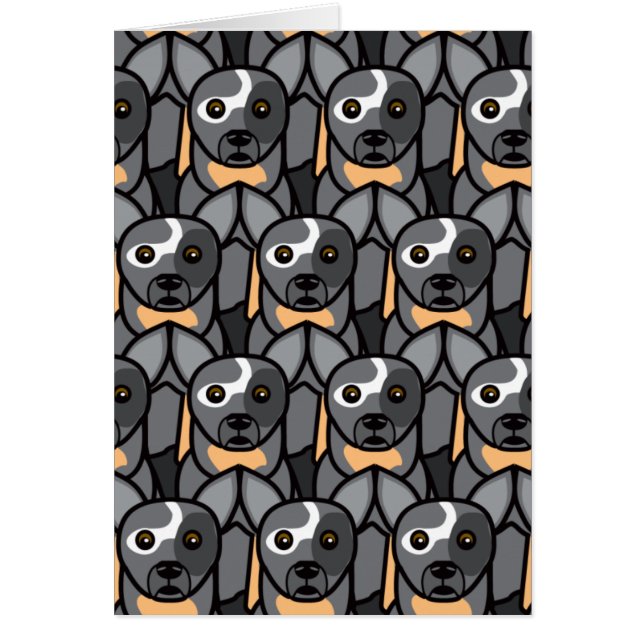 Perros australianos del ganado (Frente)