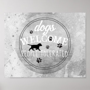 perros bienvenidos personas toleradas decoración g