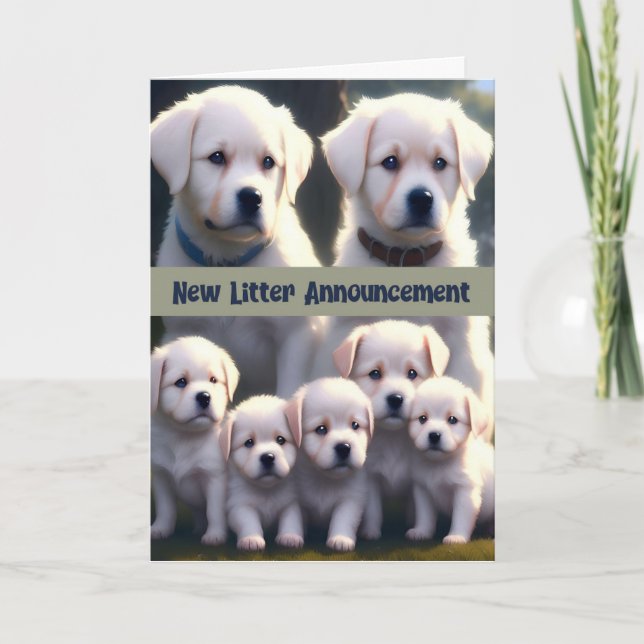 Perros blancos de nueva Invitación de camada (Anverso)