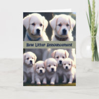 Perros blancos de nueva Invitación de camada