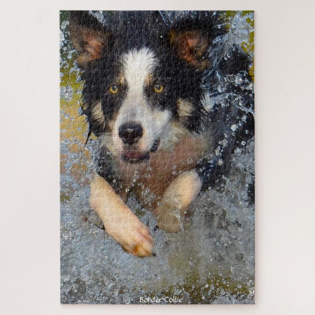 Perros Border Collie. Rompecabezas (Vertical)