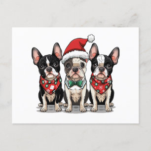 Perros Boston Terrier de Navidad