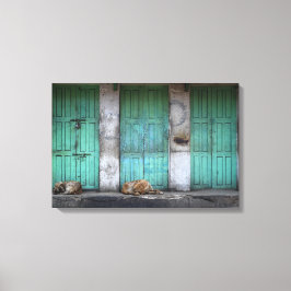 Perros callejeros frente al lienzo de puertas verd