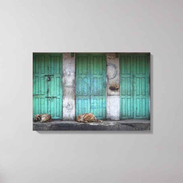 Perros callejeros frente al lienzo de puertas verd (Anverso)