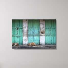 Perros callejeros frente al lienzo de puertas verd