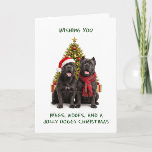 Perros Cane Corso Navidad