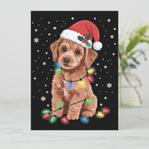 Perros Caniche Árbol Navidad Xmas Mascota Animal P