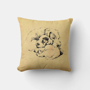 Perros con aspecto de almohada suave y Naranja bei