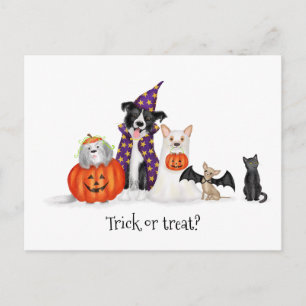 Perros con disfraces de Halloween postal