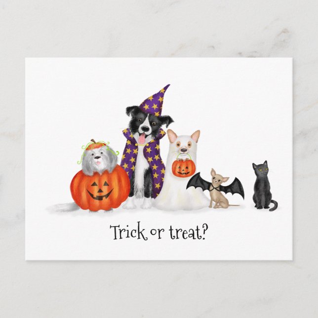 Perros con disfraces de Halloween postal (Anverso)