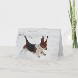 "Perros de afloramiento en" las tarjetas de nota