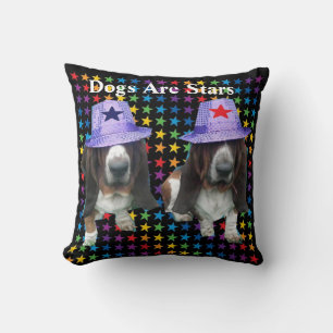 Perros de almohada son estrellas