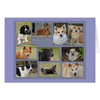 Perros de Becerra - modificados para requisitos