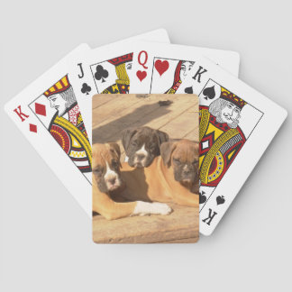 Perros de boxeo jugando cartas