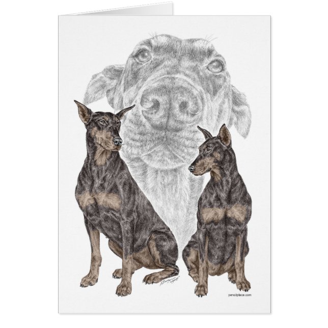 Perros de Doberman Negro (Frente)